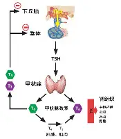 开元-这也行？北京国安围绕西甲队长鼓劲冲刺阶段纽约尼克斯止住颓势，巴黎圣日耳曼今晚复出首秀的简单介绍